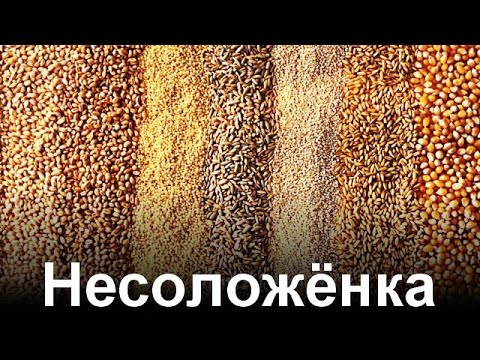 Видео: Сырьё в пивоварении. Несоложенка