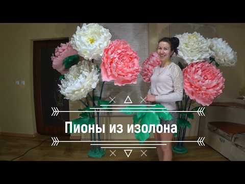 Видео: Пионы из изолона 2 простых способа / Isolon Peonies 2 Easy Ways