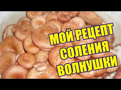 Видео: Как я солю грибы. Мой рецепт соления волнушки.