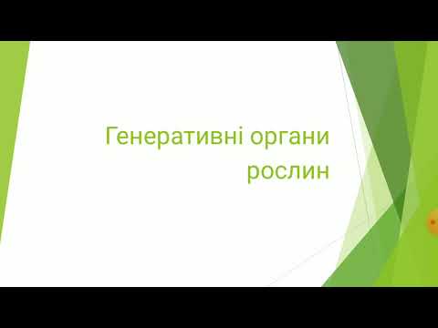 Видео: Генеративні органи рослин