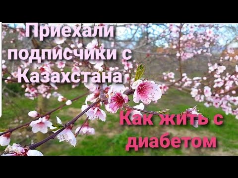 Видео: Влог# 270 Переезд на юг☀️ Как жить с ДИАБЕТОМ?👩🏼‍⚕️ Приехали подписчики с КАЗАХСТАНА😃👍👦👩