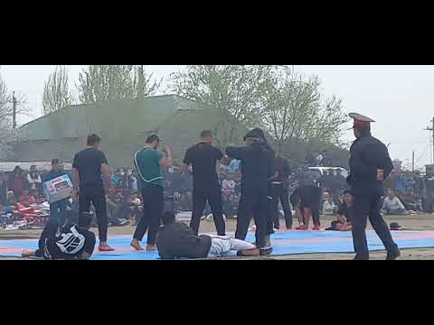 Видео: Наврӯз 2023с гӯштин Роғ Анешрвон паҳлавон 800с аз тарафи раиси ноҳия