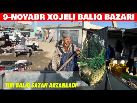 Видео: 9-НОЯБРЯ 2025-ЖЫЛ/ХОЖЕЛИ БАЛЫК БАЗАРЫ ТИРИ БАЛЫК САЗАН МАЙ БАС