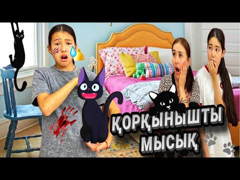 Видео: ҚОРҚЫНШТЫ МЫСЫҚ😭🥶🤯/МАЗАМДЫ АЛМАШШ😫😖😣😩#trending