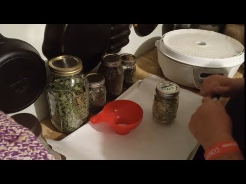 Видео: Сбор, сушка и заготовка трав для чая