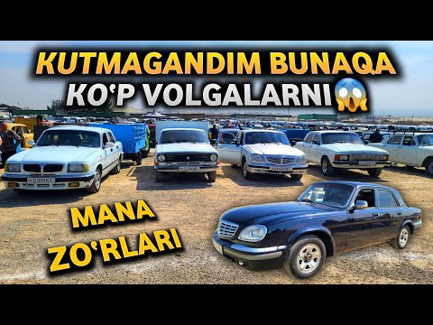 Видео: ВОЛГАЛАР АНЧАДАН БЕРИ БУНАҚА КЎП ЧИҚМАГАНДИ! МАЗА ҚИЛИБ КЎРИНГ