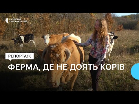 Видео: Анна Нечепорук з чоловіком тримають ферму, яку започаткувала бабуся