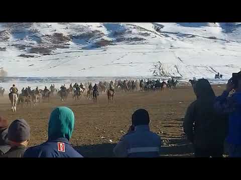 Видео: 9 ноября 2025 г. БУЗКАШИ Ч САГИРДАШТ