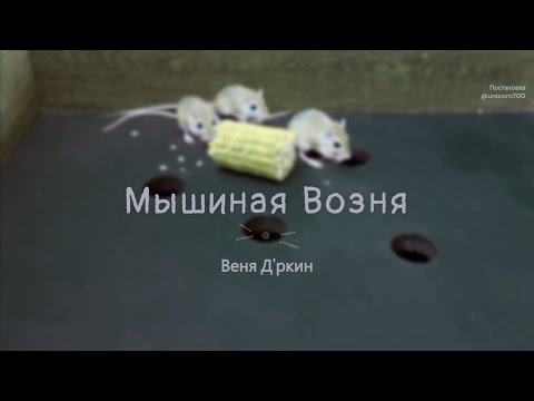 Видео: Веня Д'ркин - Мышиная возня (минус для караоке)