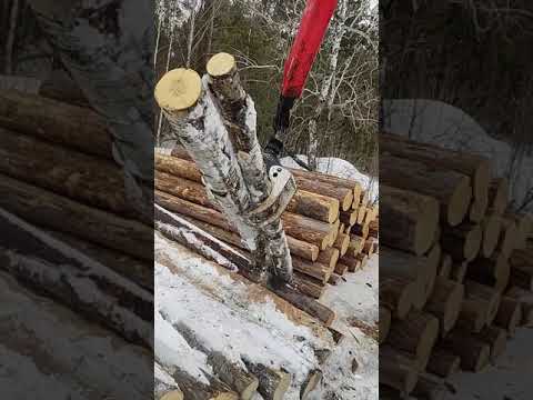 Видео: погрузка сортимента 6м( осина ) фишка фискарь КамАЗ с кму