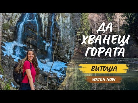 Видео: #1 ДА ХВАНЕШ ГОРАТА 🌳 | ВИТОША | ВКУСЕН ОБЯД и ВОДОПАД