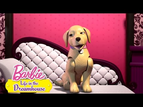 Видео: Пластиковое собачье сердце | @BarbieRussia  3+