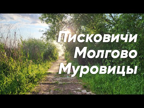 Видео: Небольшая велопрогулка. Писковичи - Молгово - Муровицы