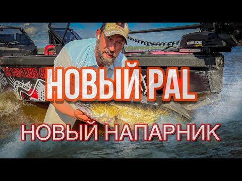 Видео: Новый PAL. Новый НАПАРНИК.