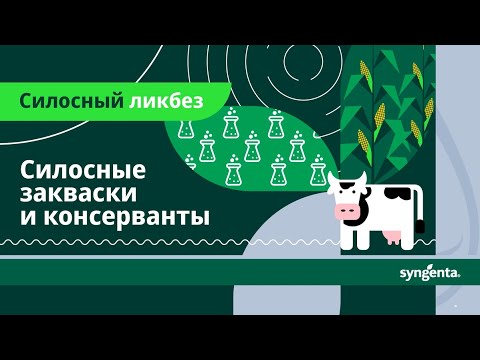 Видео: Силосный ликбез: закваски и консерванты для силоса