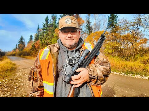 Видео: Охота на лося в глубинке Ньюфи-Бэккантри