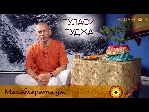 Видео: Туласи пуджа. Махабхарата дас.