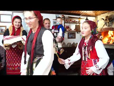 Видео: Старчевата 2022г гр.Разлог,кв.ВАРОШЕ.