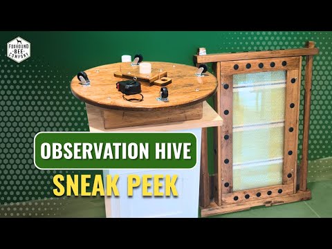Видео: Загляните в наш новый улей для наблюдения | Создаём для посетителей опыт наблюдения за живыми пчё...