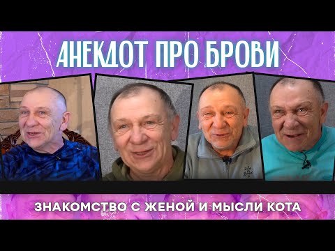 Видео: Анекдот про брови, знакомство с женой и мысли кота