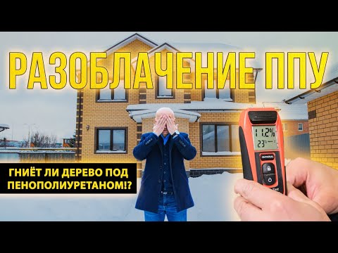 Видео: Как гниет дерево под ППУ...