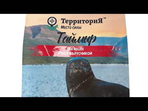 Видео: Обзор на Территория. Кошки.