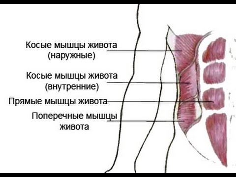 Видео: Хочешь здоровую спину? - Качай пресс! Михаил Шилов