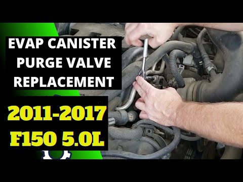 Видео: Замена клапана продувки адсорбера EVAP для F150 5.0L 2011-2017