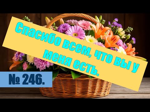 Видео: № 246. Собрано для любимых подписчиков, (не люблю это слово)... Друзей.#антимошенники #лохоброкеры