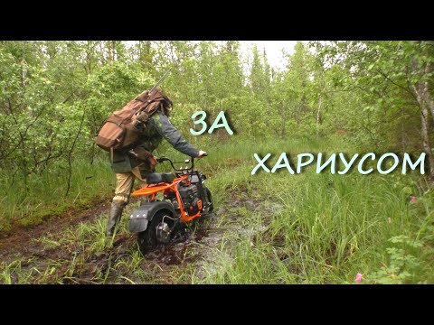 Видео: ЗА ХАРИУСОМ НА ТАЕЖНУЮ РЕЧКУ. ЕДУ НА СКАУТ САФАРИ 3.