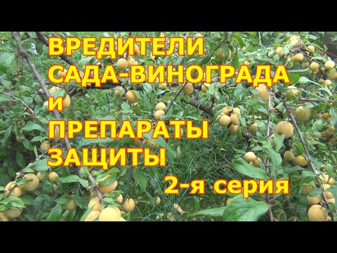 Видео: 2-я серия. ПРЕПАРАТЫ ЗАЩИТЫ  ОТ ВРЕДИТЕЛЕЙ.  Что купить на сезон