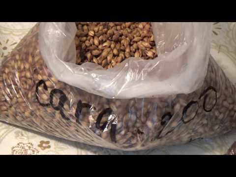 Видео: Шоколадный Эль. Отварочное затирание.