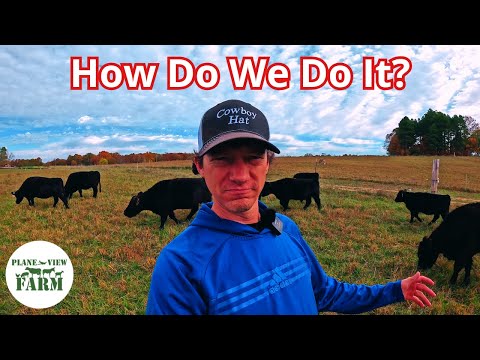 Видео: Как небольшие фермы крупного рогатого скота могут защитить себя от волатильности рынка и наше нов...