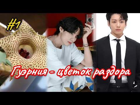 Видео: ГУЭРНИЯ - ЦВЕТОК РАЗДОРА  |  1  часть   |  Ли Соль  |  Озвучка фанфика  #вигуки #фанфик  #намги