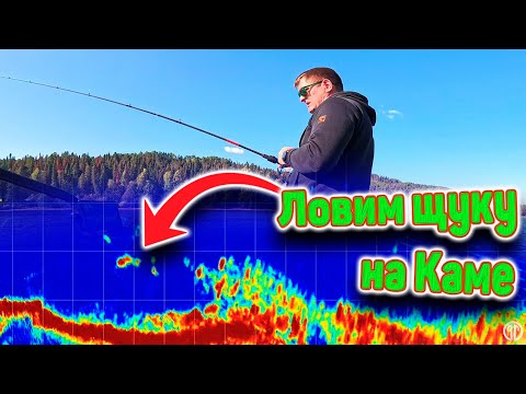 Видео: Ловим щуку на реке Кама осенью.