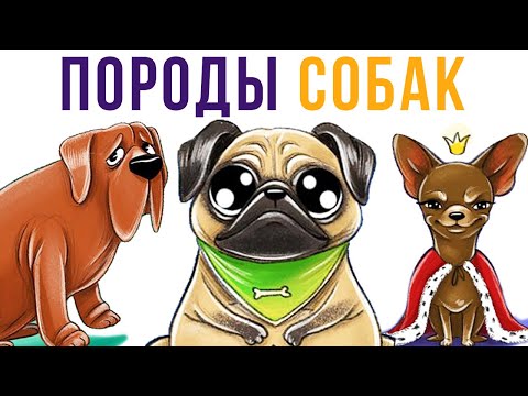 Видео: Комиксы. Породы собак | Мемозг #338