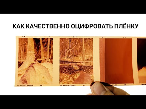 Видео: Как оцифровать плёнку? // Epson Scan & Negative Lab Pro
