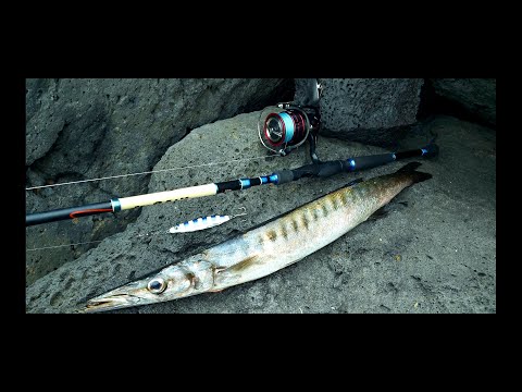 Видео: Ловим тунца и баракуду с берега а острове Лансароте. Lanzarote fishing 2023.