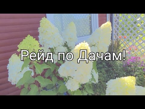 Видео: Жара на Даче в северной Германии/13.08.25 +35°