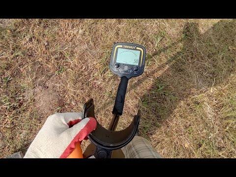 Видео: Одинокий домик в поле. В поисках монет на урочище c китайским металлоискателем TX850