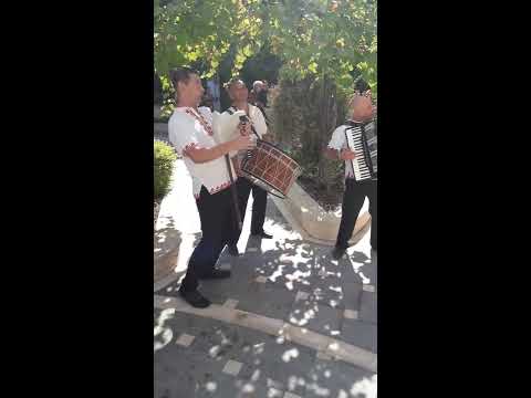 Видео: орк.Веселие - Бургас