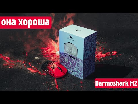 Видео: Darmoshark M2 - ОДНА ИЗ ЛУЧШИХ С 8К ГЕРЦ! Распаковка и обзор