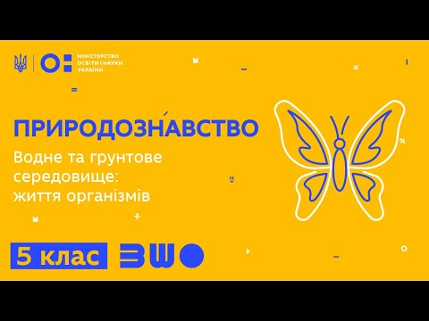 Видео: 5 клас. Природознавство. Водне та грунтове середовище: життя організмів