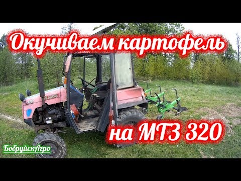 Видео: Окучиваем картофель на МТЗ 320