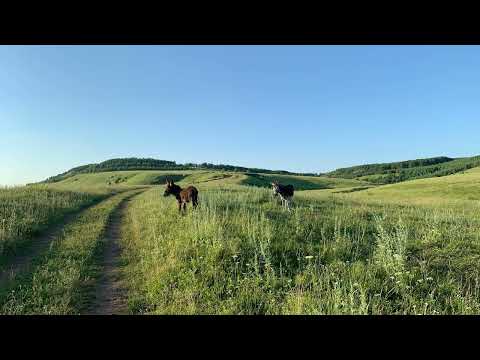 Видео: Ә кулында синен сирен иде! 52 нче  бүлек. Яңа хикәя.