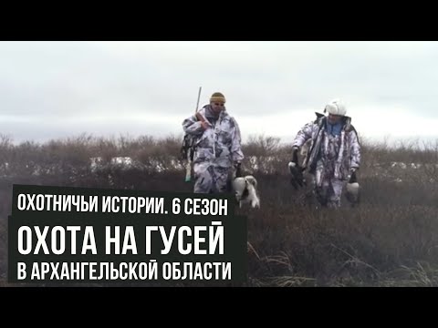 Видео: Охота на ГУСЕЙ в Архангельской области \ Охотничьи истории \ #9