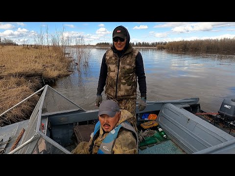 Видео: ПОДГОТОВКА К ОХОТЕ НА ТУРПАНА НА КОЛЫМЕ