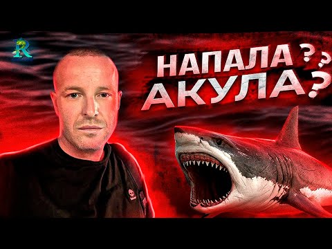 Видео: Ловили Тунца, и что произошло дальше?