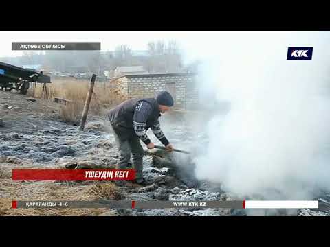 Видео: Ақтөбе облысында шөпке қасақана от қойғандар ұсталды