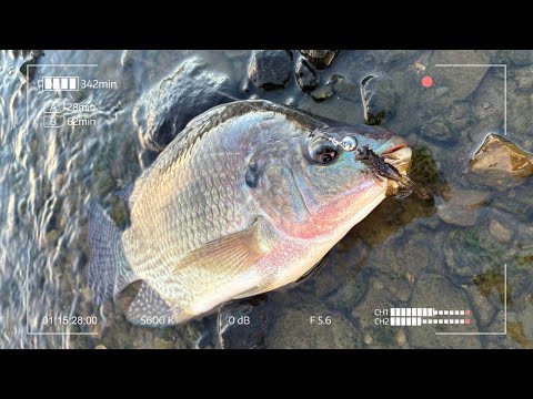 Видео: Земля обетованная. Спиннинг в Удомле 2025